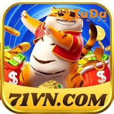 71vn Gaming Experience